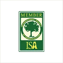 02 - Tip Top Arborists