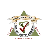 03 - Tip Top Arborists