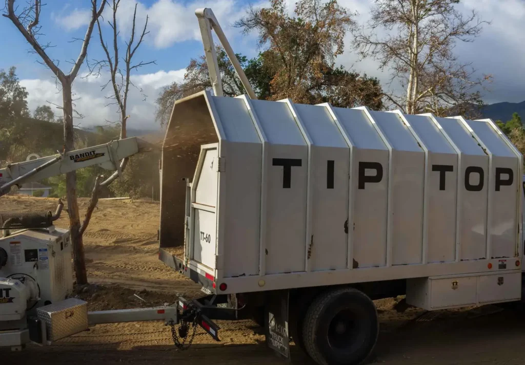 IMG 2591 - Tip Top Arborists