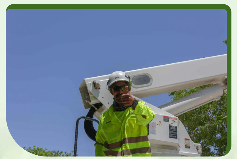 Screenshot 2025 11 23 231513 - Tip Top Arborists