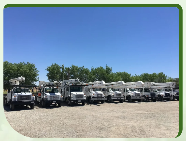 Screenshot 2025 11 24 235108 - Tip Top Arborists