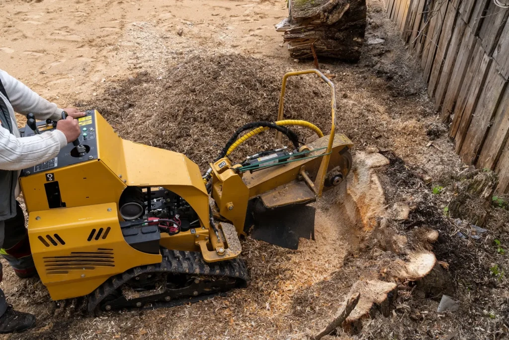 Stump Grinding WinklerTree 1 - Tip Top Arborists