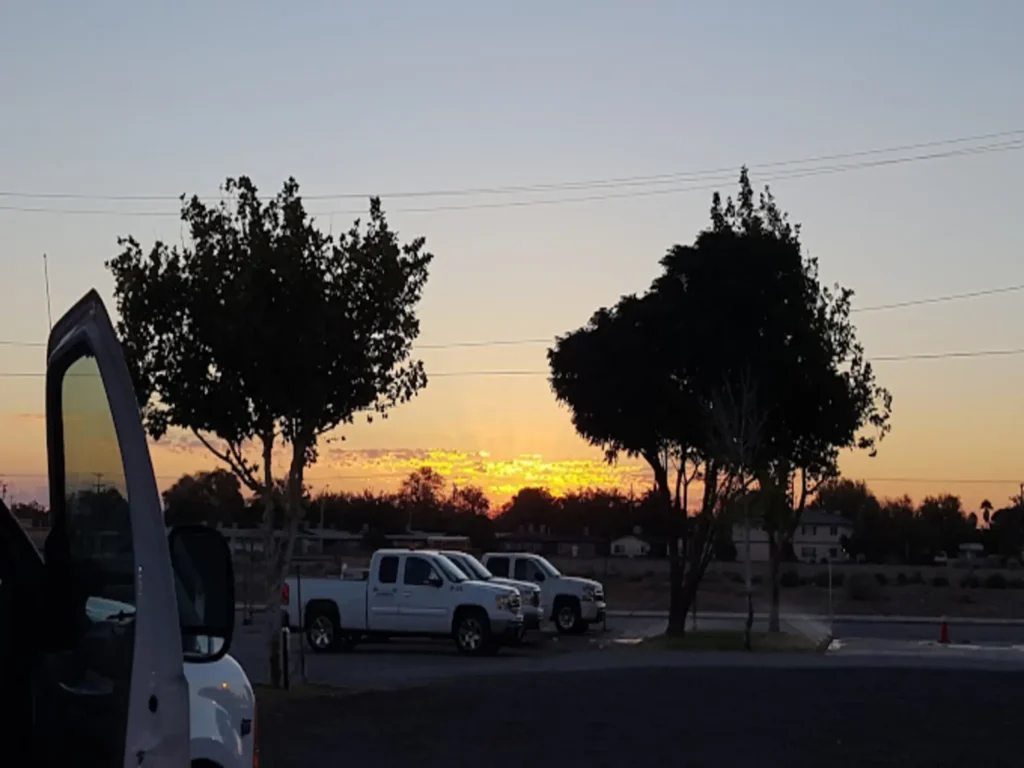 Professional tree service in Lancaster CA arborist trimming a large backyard tree