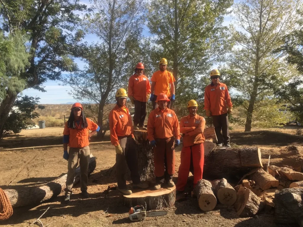 Tree Removal Cost in Lancaster CA