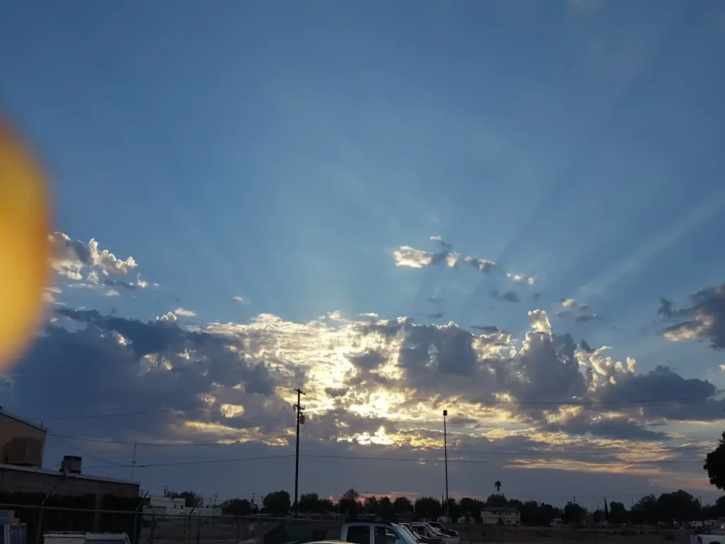 tree trimming in Palmdale during late winter pruning