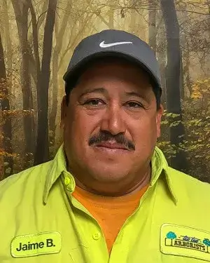 jaimeb min - Tip Top Arborists