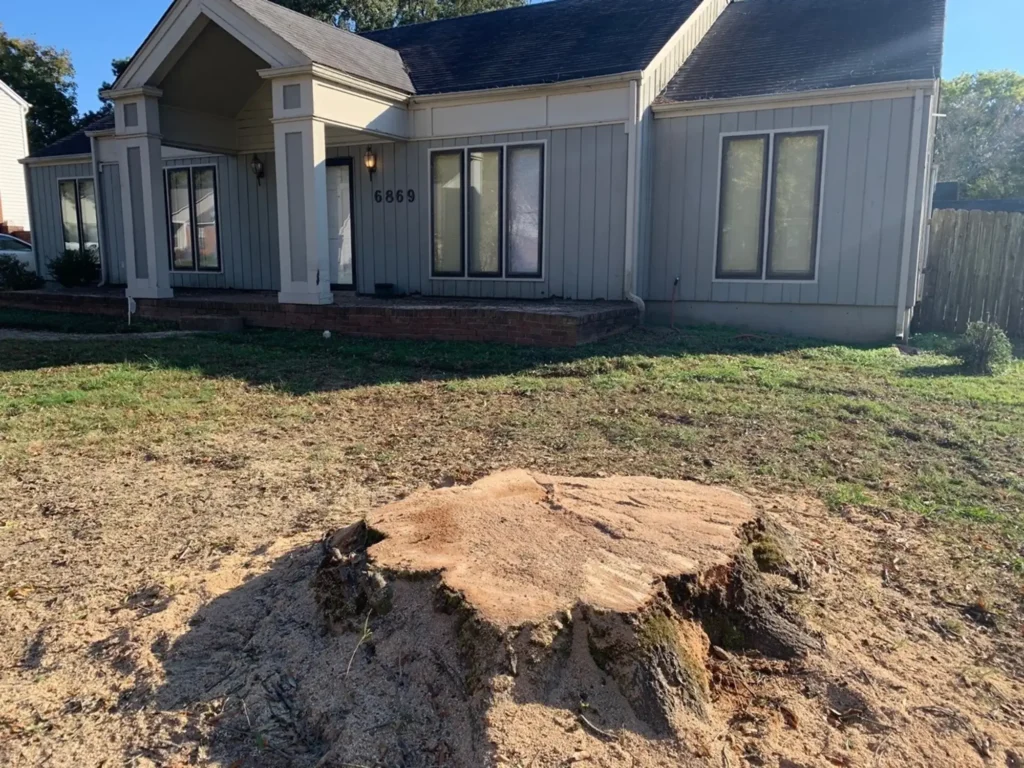 stump grinding leona valley ca - Tip Top Arborists