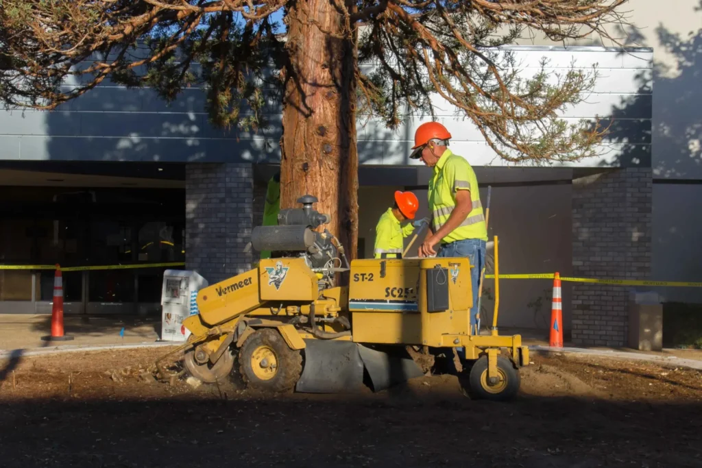 Tree trimming Antelope Valley CA crew arriving with professional equipment for residential tree trimming and cleanup