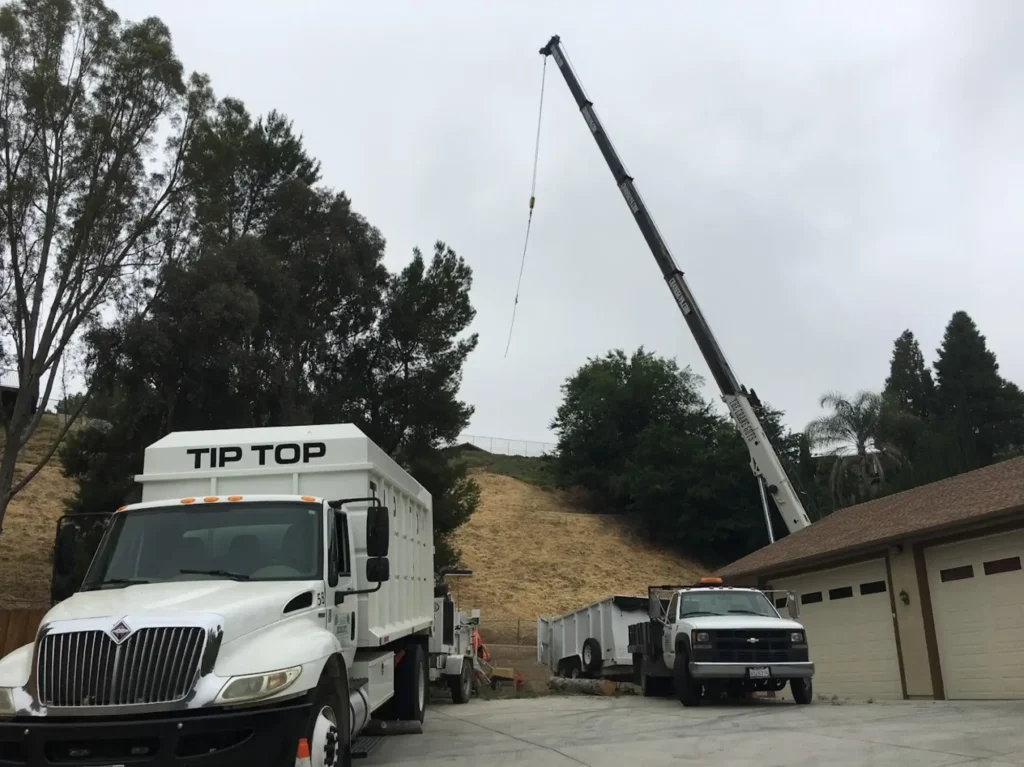tree planting hesperia ca - Tip Top Arborists