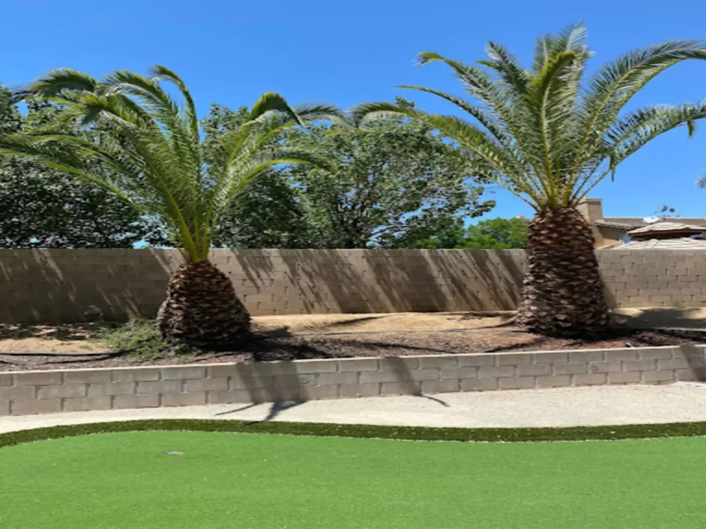 arborist consultation Antelope Valley yard inspection