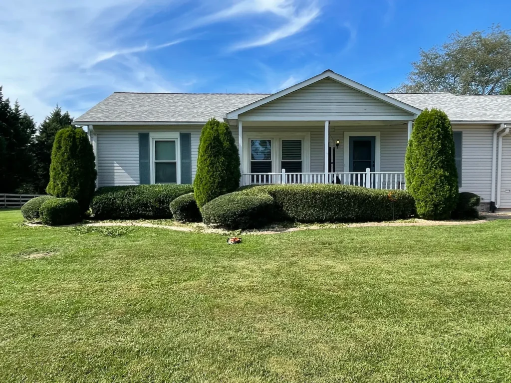 arborist consultation in Lancaster CA installing tree cabling support system