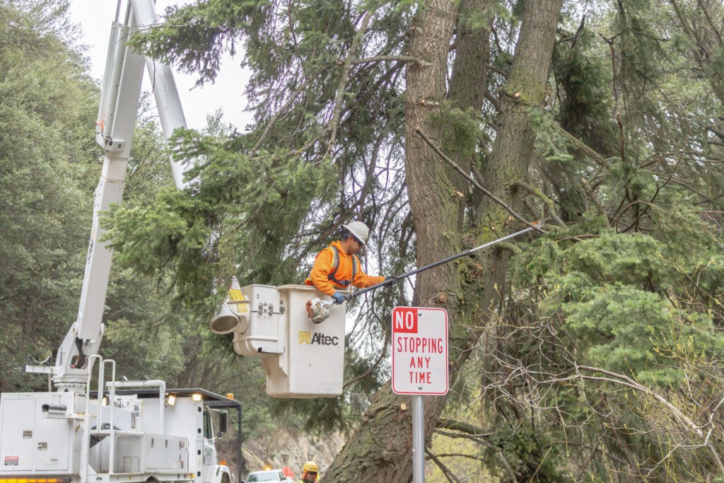 Worker trimming tree from lift