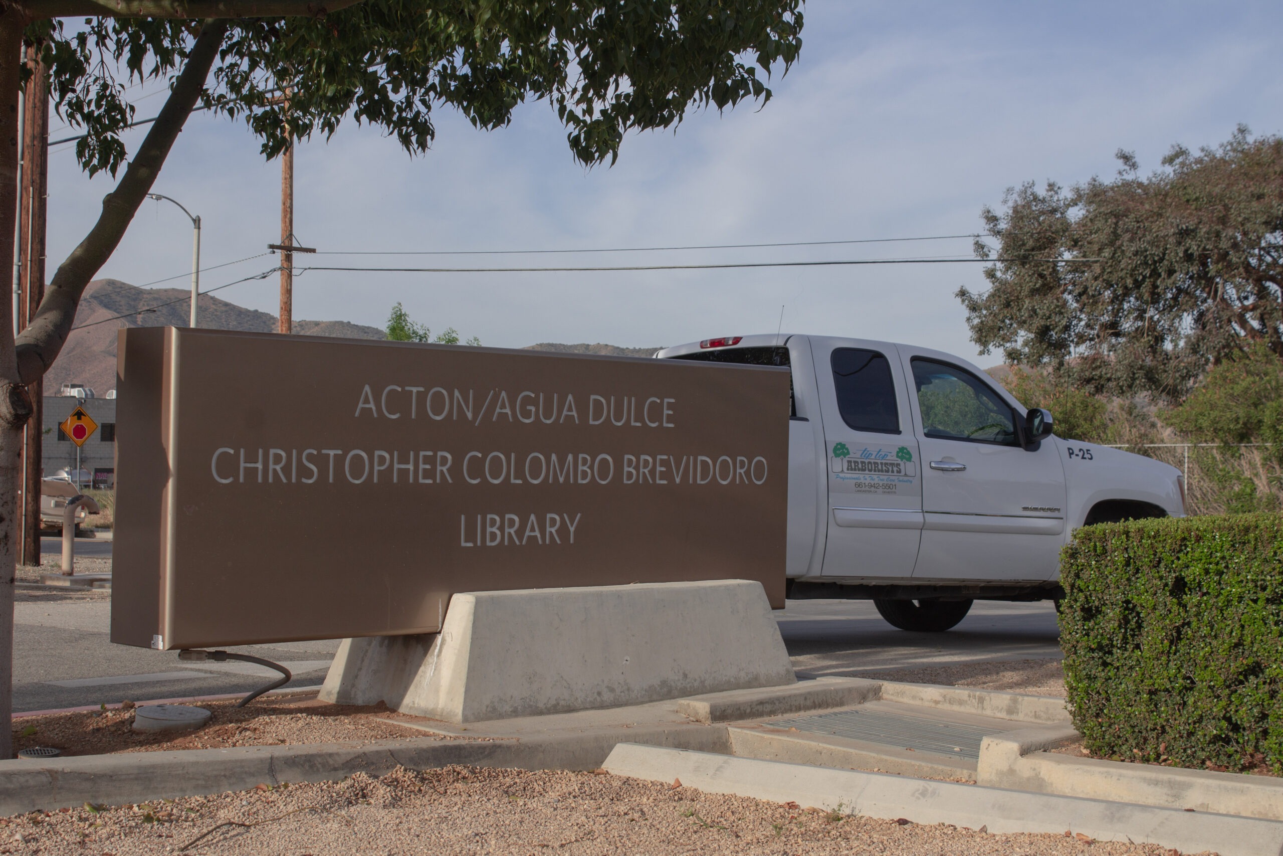 Agua Dulce scaled - Tip Top Arborists