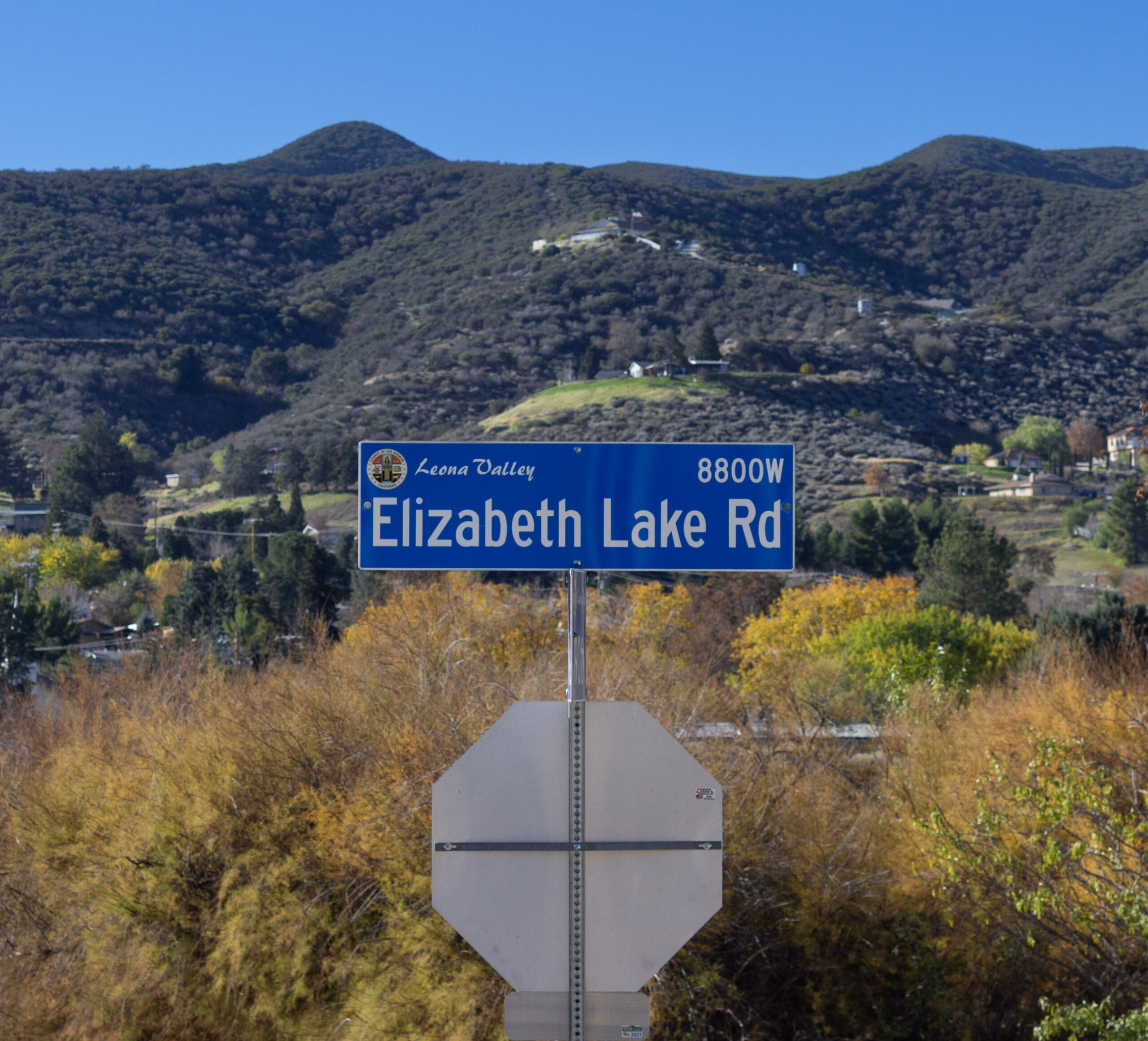 IMG 2309 scaled - Tip Top Arborists