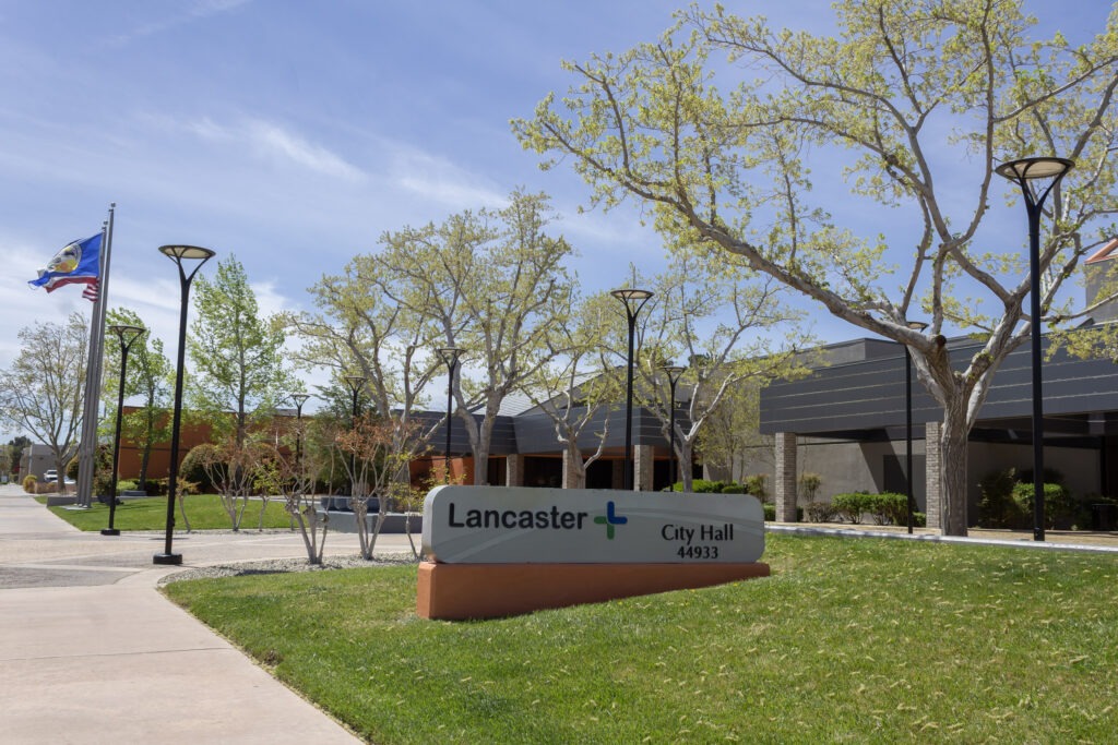 Lancaster - Tip Top Arborists