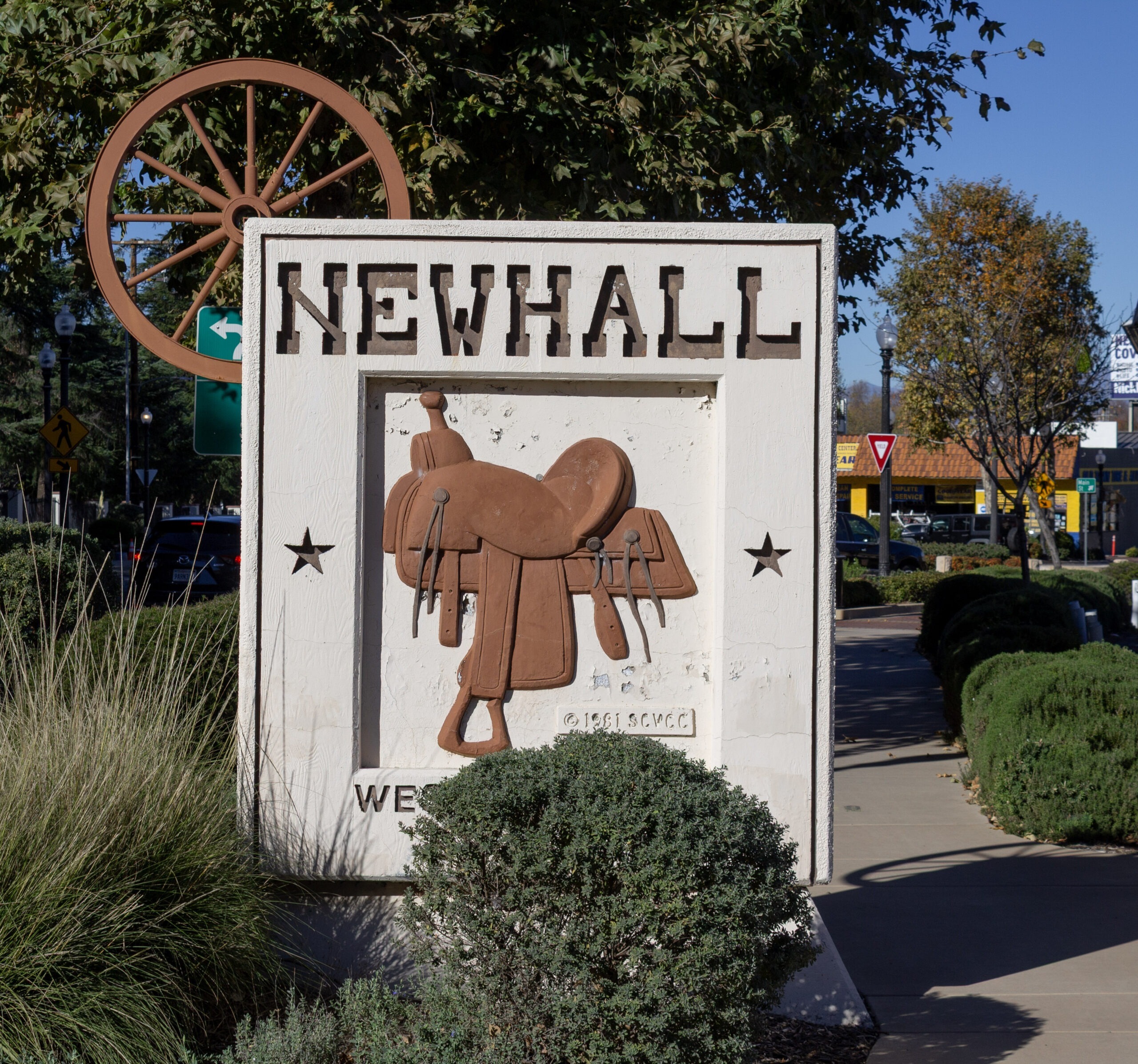 Newhall scaled - Tip Top Arborists