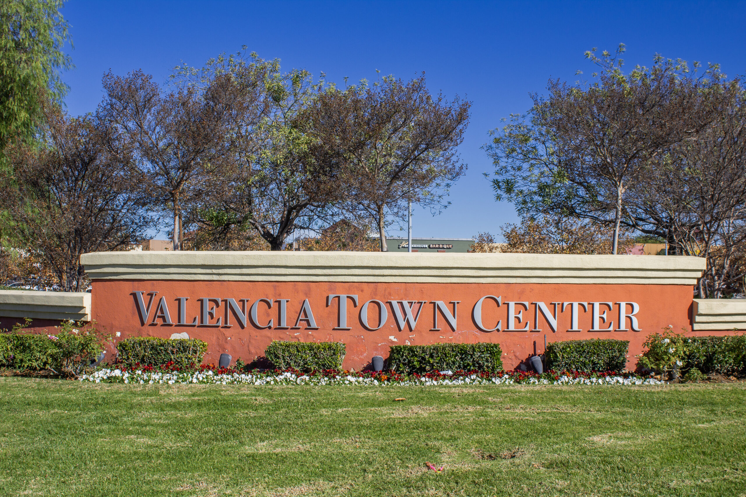 Valencia scaled - Tip Top Arborists