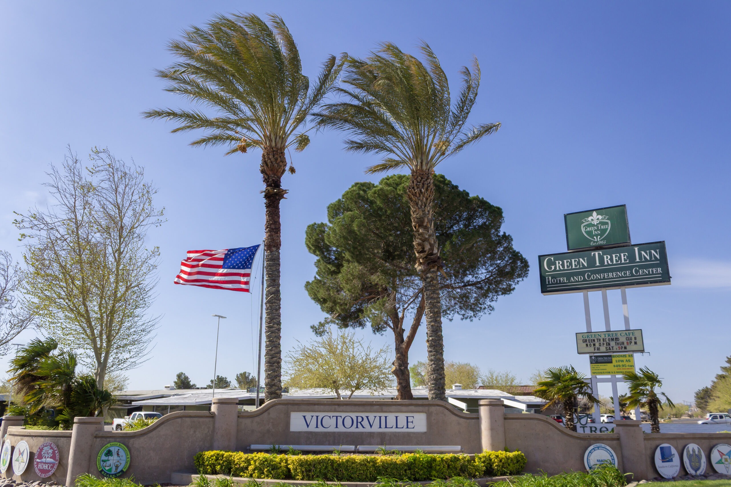 Victorville scaled - Tip Top Arborists