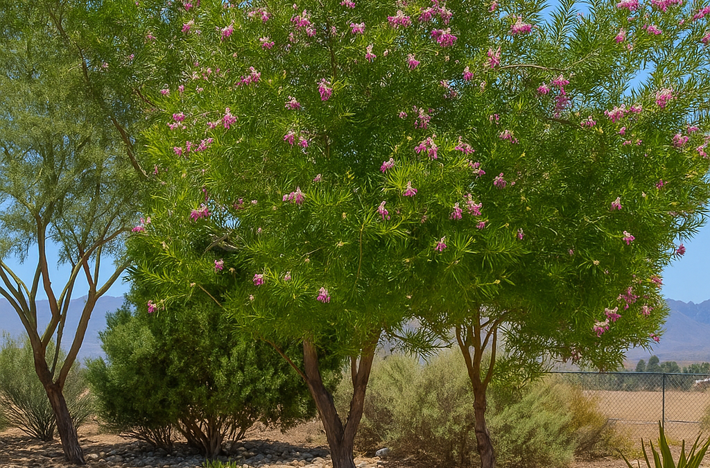 The Best Drought-Resistant Trees for Lancaster, CA Yards