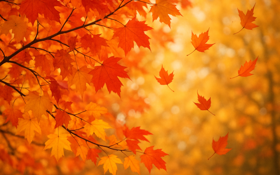 Color in the Canopy: The Secret Language of Autumn Leaves