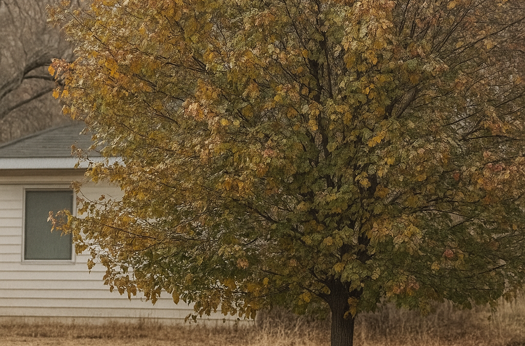 What Trees Are Protected in Lancaster, CA? A Homeowner’s Guide (So You Don’t Get Fined)