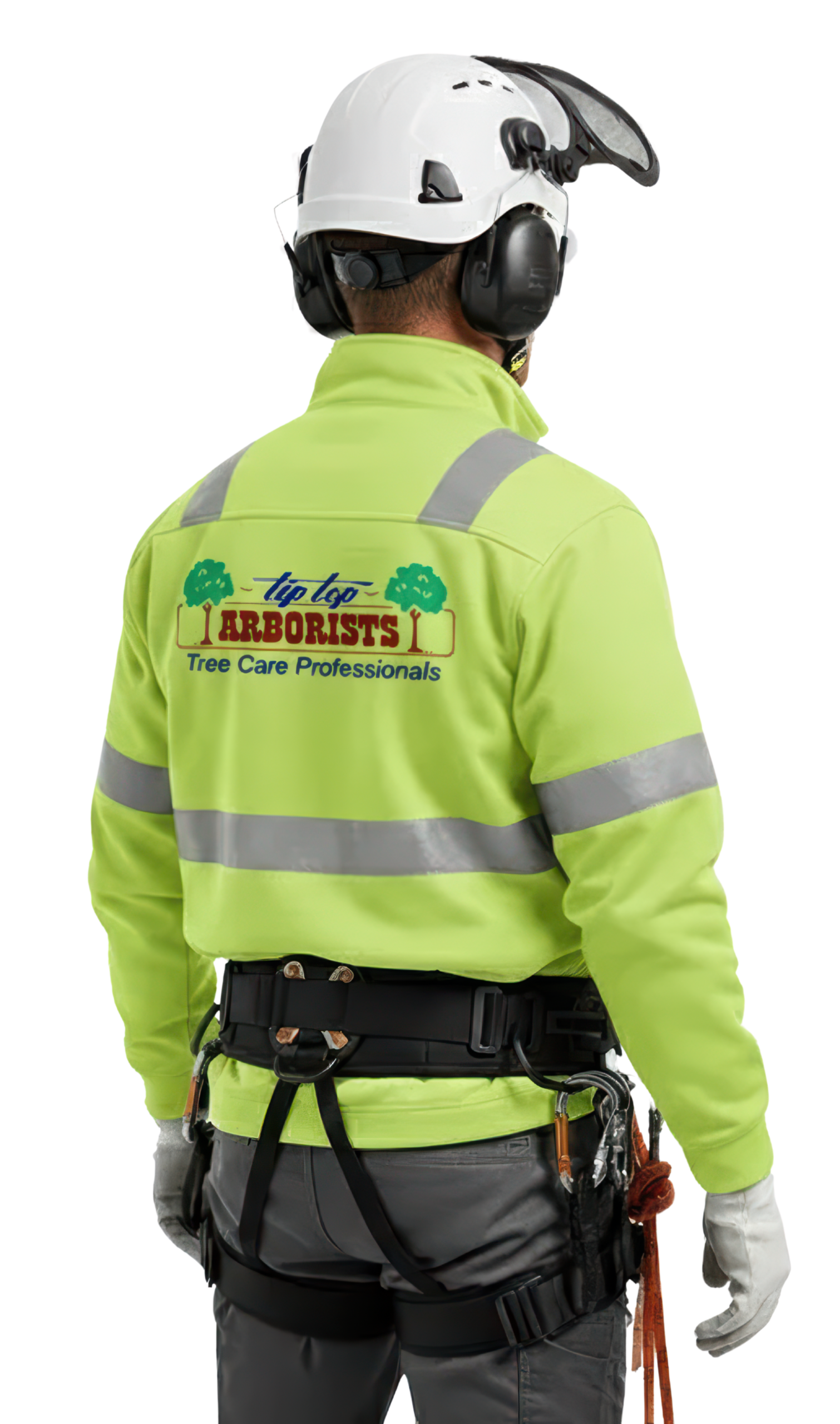 11231 scaled - Tip Top Arborists