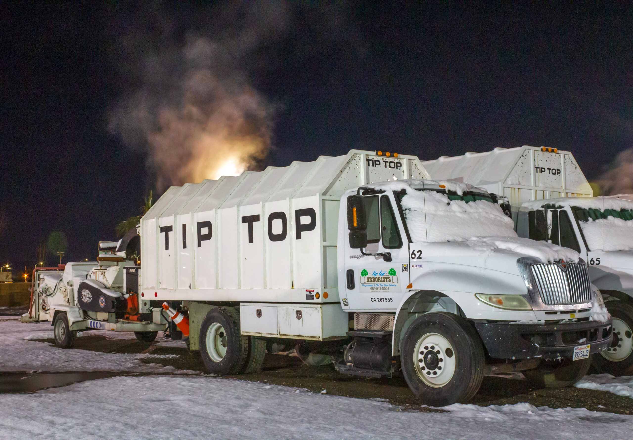 Professional arborist services Lancaster CA