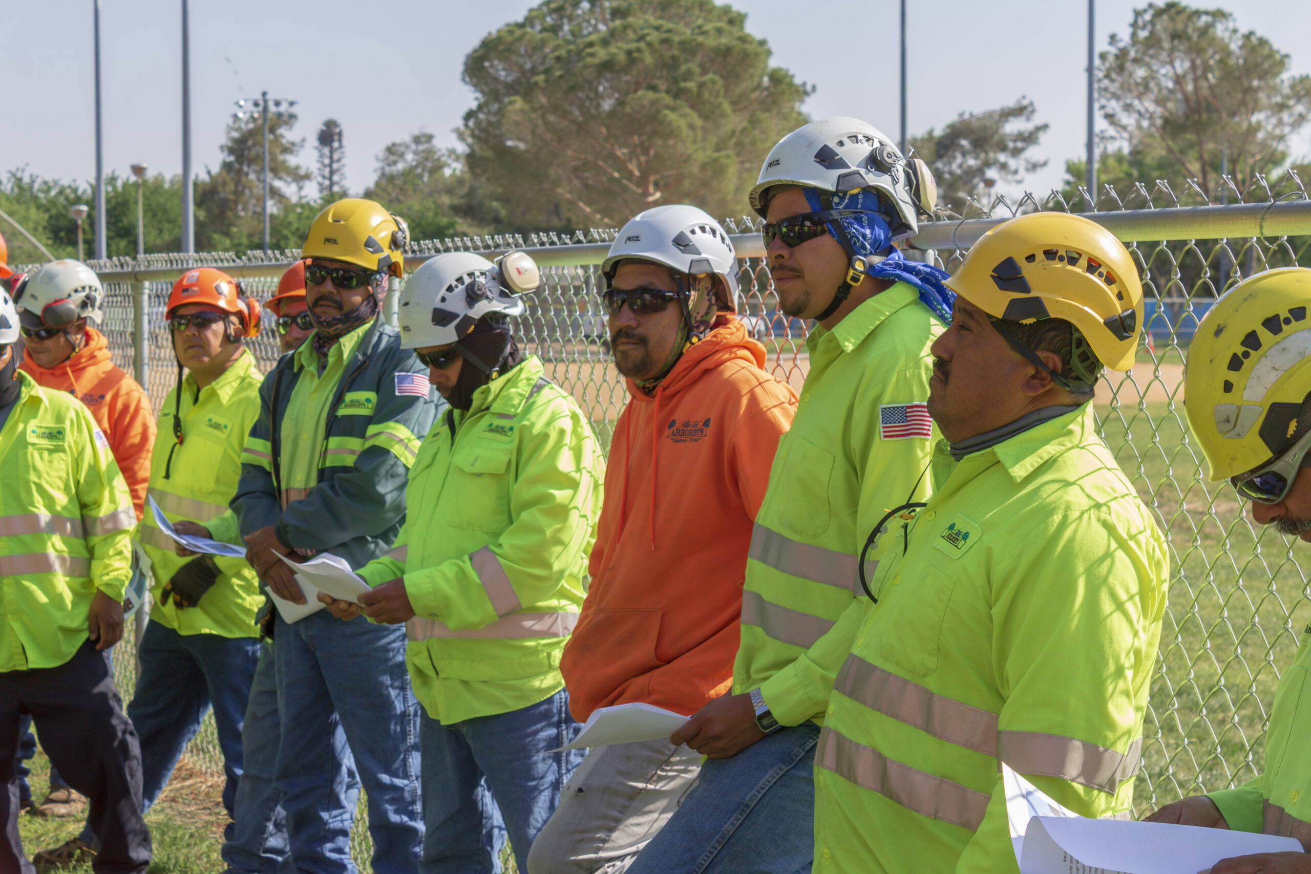 What Does a Professional Arborist Consultation Actually Include?