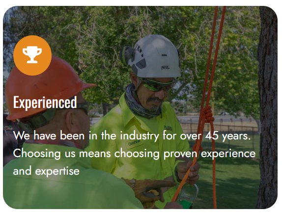 Screenshot 2026-01-08 113315