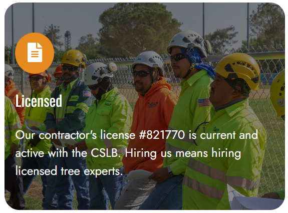 Screenshot 2026-01-08 113324