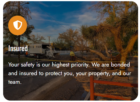 Screenshot 2026-01-08 113333