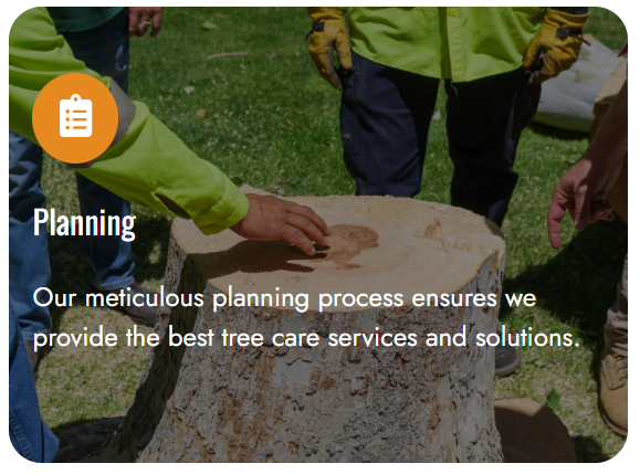 Screenshot 2026-01-08 113352