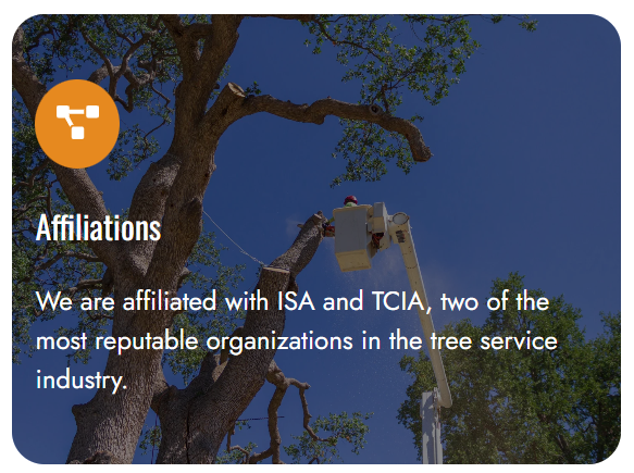 Screenshot 2026-01-08 113432