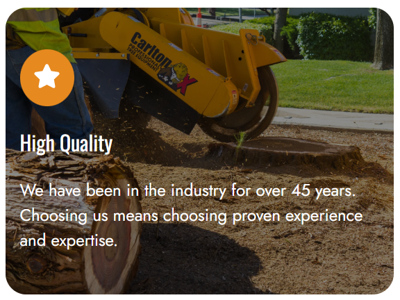 Screenshot 2026-01-08 113444