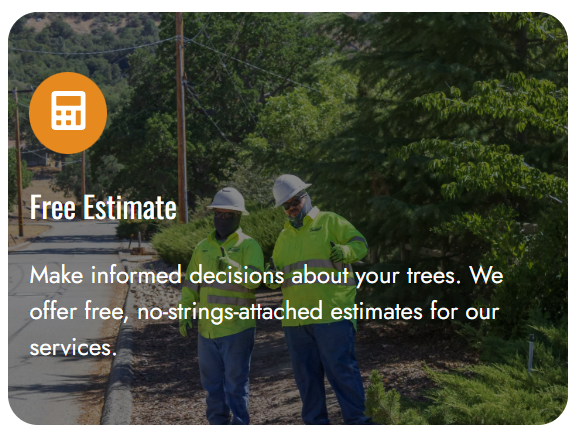 Screenshot 2026-01-08 113510