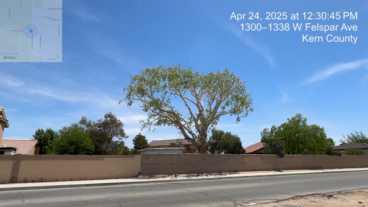 Tree Trimming Antelope Valley CA large canopy reduction near block wall before and after