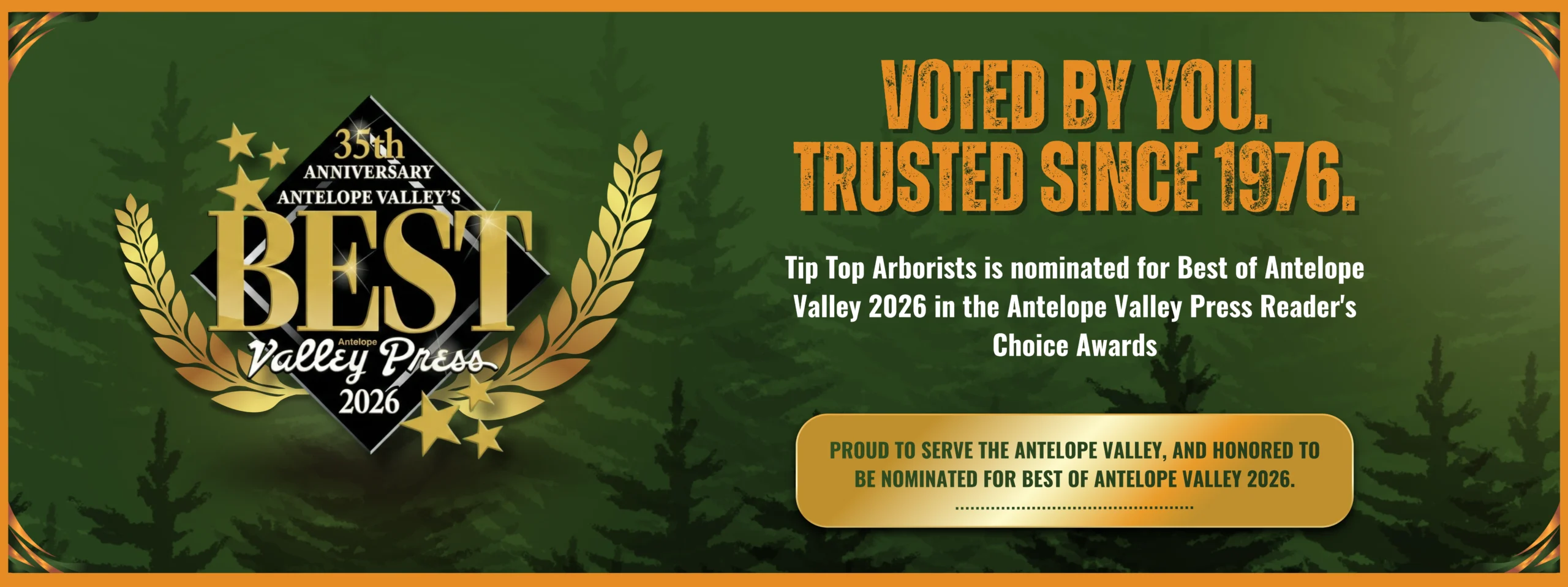 4 scaled - Tip Top Arborists