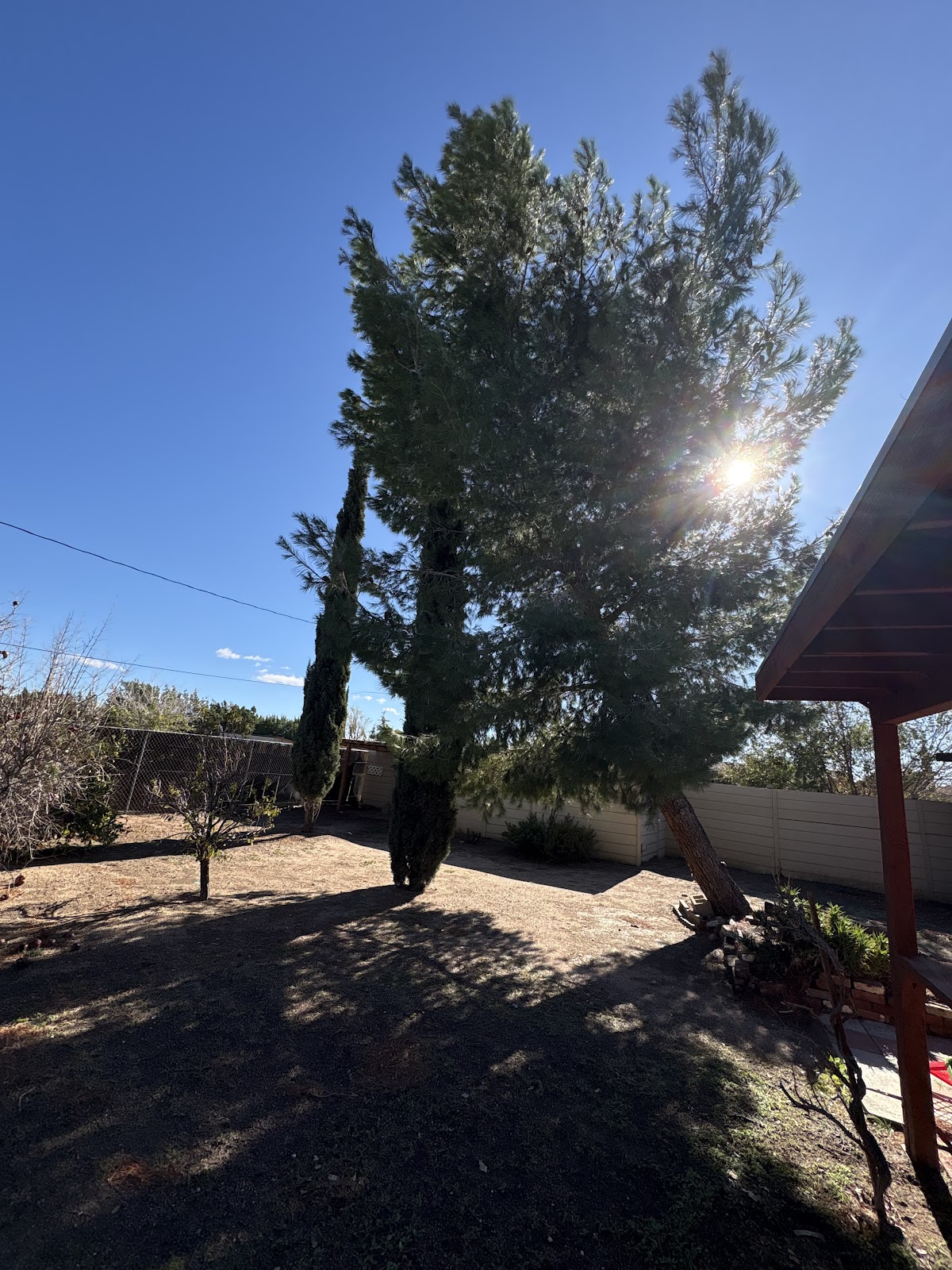 Emergency tree removal Lancaster CA for a large wind-damaged tree threatening a residential property and power lines