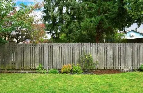 Can I Trim My Neighbor’s Overhanging Tree Branches?