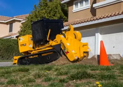 Deep grinding 3 - Tip Top Arborists