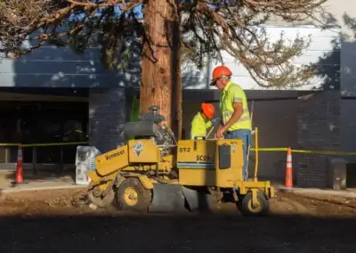 Glen Grinding - Tip Top Arborists