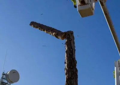 Piecing out 5 - Tip Top Arborists