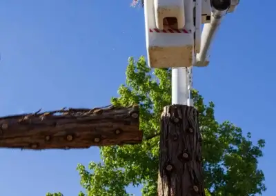 Piecing out 7 - Tip Top Arborists