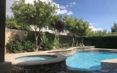 Poolside Perfection: Tree Trimming in Castaic, CA by Tip Top Arborists
