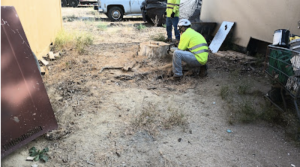 Screenshot 2025 02 17 at 19.38.59 - Tip Top Arborists