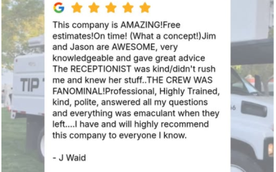 “Fanominal” Service That Speaks for Itself – 5-Star Customer Review for Tip Top Arborists Tree Service