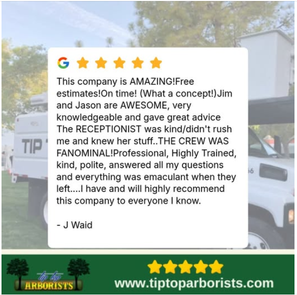 Screenshot 2025 06 30 203450 - Tip Top Arborists