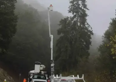 Tehachapi Kern Co Road 4 70 - Tip Top Arborists