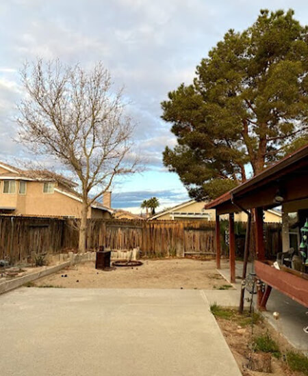 Tree Removal Castaic