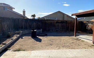 Tip Top Arborists Handle Tree Removal and Stump Grinding Project for Castaic, CA, Homeowner